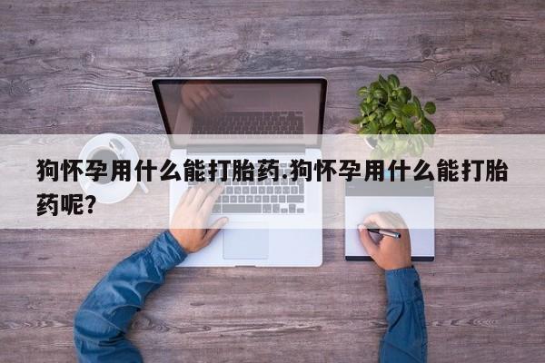 打胎药药店有卖狗怀孕用什么能打胎药.狗怀孕用什么能打胎药呢？