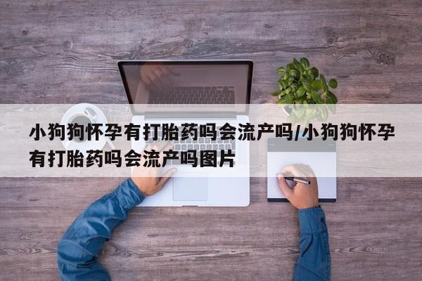 打胎药药店有卖小狗狗怀孕有打胎药吗会流产吗/小狗狗怀孕有打胎药吗会流产吗图片