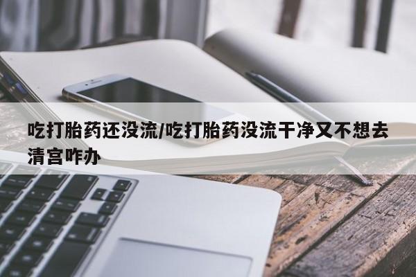 打胎药药店有卖吃打胎药还没流/吃打胎药没流干净又不想去清宫咋办
