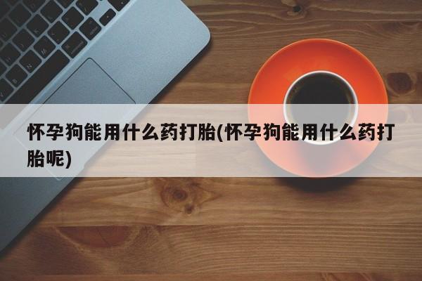 打胎药药店有卖怀孕狗能用什么药打胎(怀孕狗能用什么药打胎呢)